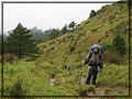2011-11-08 10-02-31回滑雪中心登山口途中.JPG
